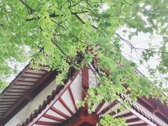 -湖畔居茶楼(湖滨店)
