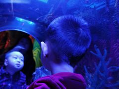 -沈阳海洋探索中心