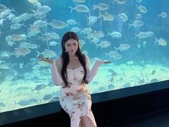 -烟台海昌鲸鲨海洋公园