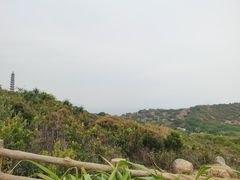 -杨梅坑