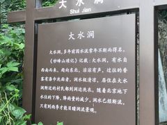 -阳台山自然风景区