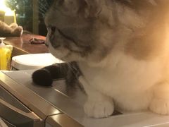 -咖法森林·咖啡  酒吧(天河店)