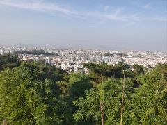 -仙岳公园