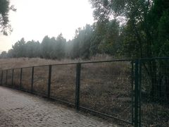 -秦始皇帝陵博物院-丽山园