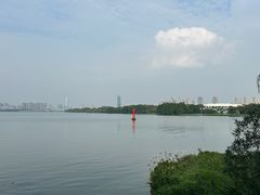 -长广溪湿地公园