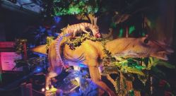 -恐龙探索乐园(磁器口店)