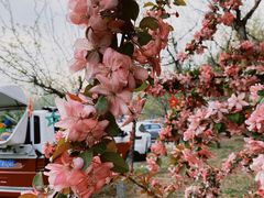 -蓝地时尚庄园(北京清河营地铁站店)