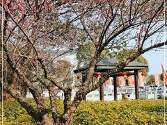 -山湖温泉