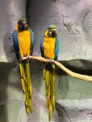 -Zoolung Zoolung动物主题公园(海信广场店)