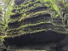 -梭布垭石林景区