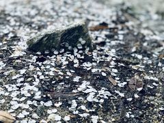 -萍乡武功山风景名胜区