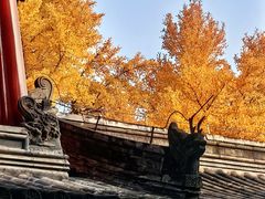 -承恩寺