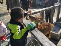 -前小桔亲子创意农场·草莓采摘·露营烧烤