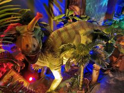 -恐龙探索乐园(磁器口店)