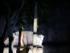 -无锡动物园·太湖欢乐园