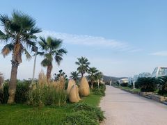 -嵊泗基湖沙滩
