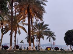 -南普陀寺