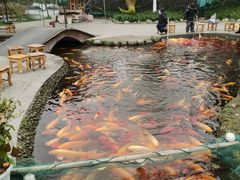 -成飞公园