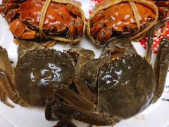 -黄记大闸蟹专卖店·活蟹·醉蟹