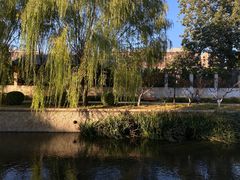 -元大都城垣遗址公园