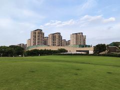 -新江湾城公园