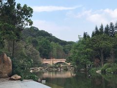 -云溪植物园