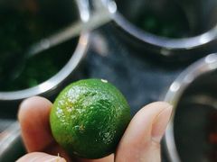 -墨脱石锅椰子鸡•香草鸭•东山羊(大东海店)