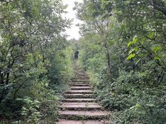 -杭州半山国家森林公园