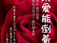 -巴依老爷新疆美食(工体旗舰店)