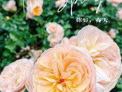-人民公园(罗湖区)