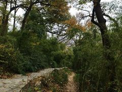 -紫金山山顶公园
