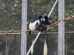 -上海野生动物园