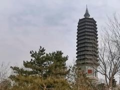 -西海子公园