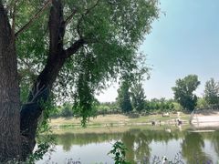 -东郊湿地公园