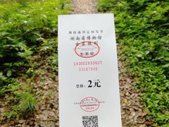 -马王堆汉墓遗址