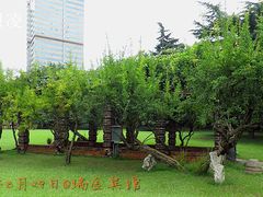 -上海瑞金洲际酒店