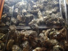 -土蚝·高压锅生蚝(百姓美食街店)
