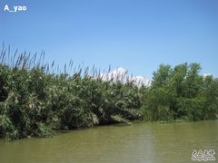 -大湾区中央湿地公园
