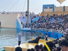 -秦皇岛乐岛海洋王国