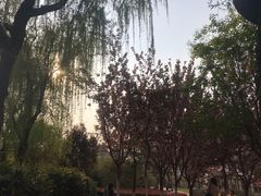 -西安青龙寺遗址景区