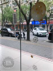 -金太子形象设计