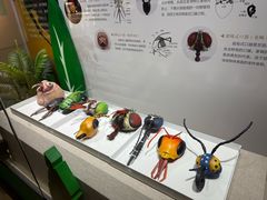 -烟台市博物馆