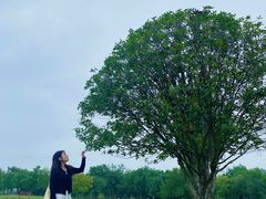 -盘龙城遗址博物院