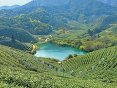 -龙坞茶村