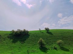 -中华福寿山