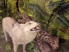 -下渚湖国家湿地公园科普馆