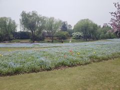 -上海滨江森林公园