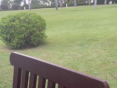 -宴悦海鲜餐厅Driftwood·游水海鲜·牛排(亚龙湾瑞吉店)