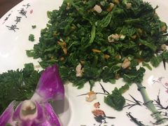 -印象江南(东栅店)