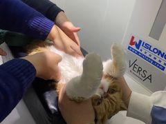 -美联众合动物医院·24h转诊中心